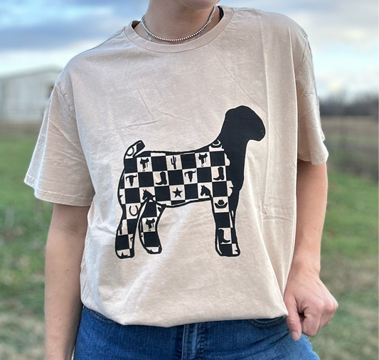 Checkered Show Goat