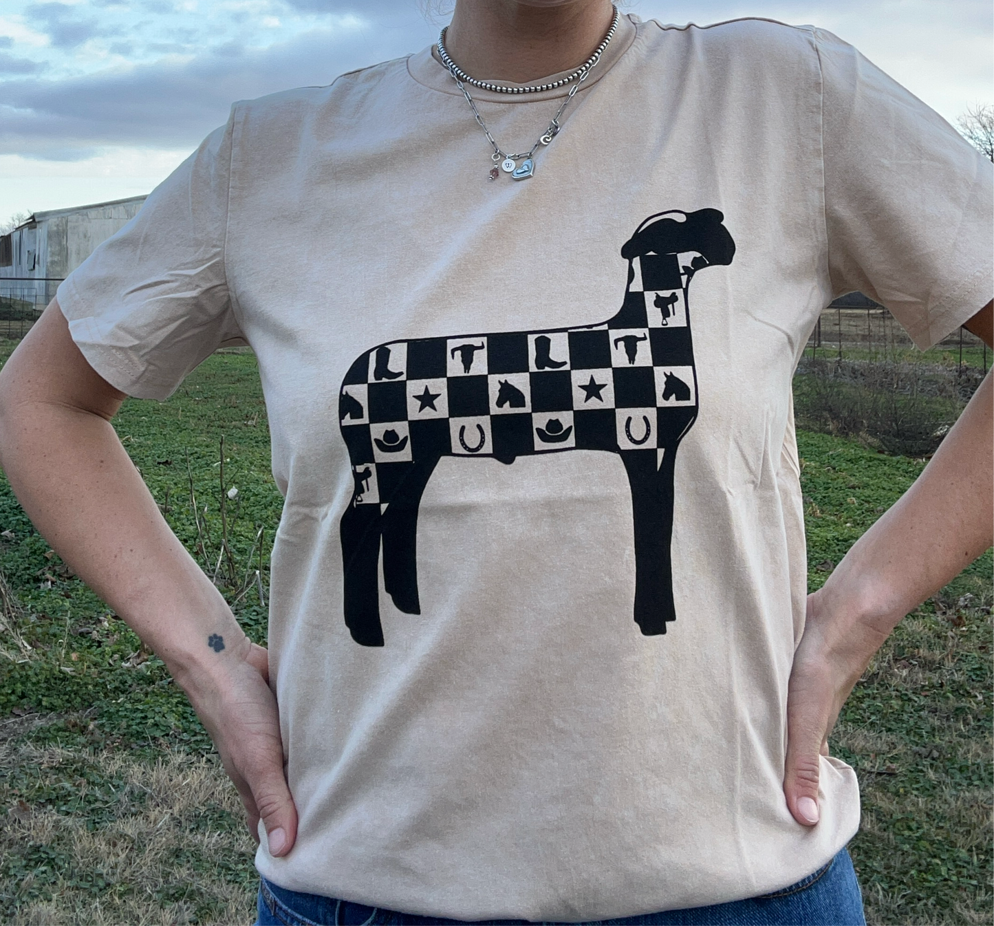 Checkered Show Lamb
