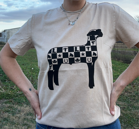 Checkered Show Lamb